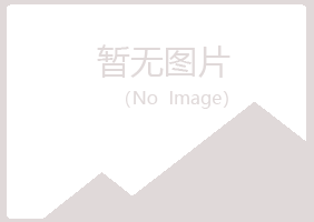 青岛黄岛白山电讯有限公司